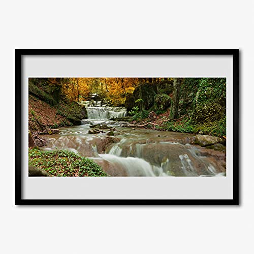 Affiche encadrée de qualité supérieure 70x50 cm motif paysage sylvestre