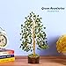 Green Aventurine - Crystal Tree for Positive Life - Aventurine Crystals - Gemstones - Money Tree - Feng Shui Trees - Crystal Decor - Chakra Stones - Spiritual Gifts - Lucky Charms - Bonsai Tree