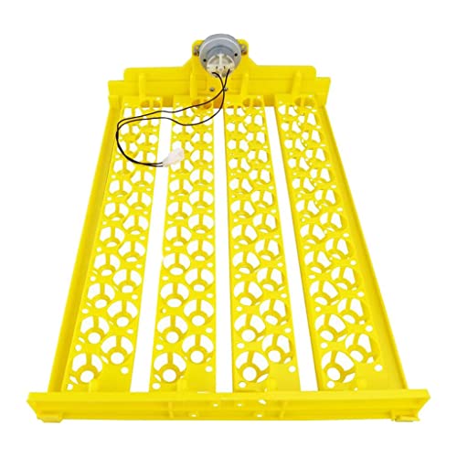 ミニインキュベーター 88 卵家禽 モーター育雛ターナー付き 鳥用 DC 12V, DC12V, 42x29x12 cm