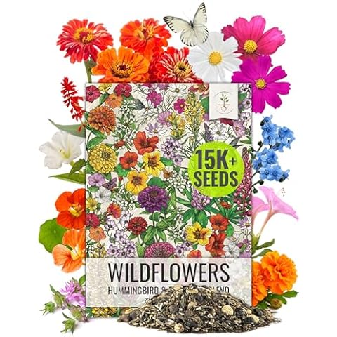 Seed Needs, 1 Ounce Hummingbird and Butterfly Garden Wildflower Seeds for Planting 20+ Varieties (99% Pure Live Seed Mixture No Filler) Resealable Package Hummingbird and Butterfly Seed Mix - Bulk Cover