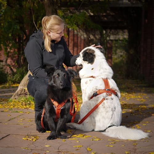 Anny-X Brustgeschirr Fun Ahorn | Hundegeschirr Größe S (Brustumfang 52-64 cm)