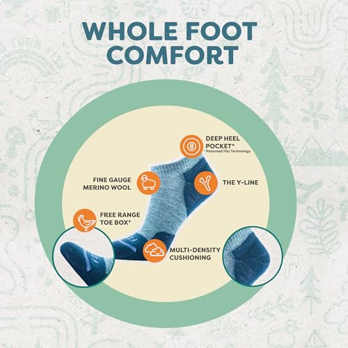 Image of FITS Original Light Cushion Low Socks For Men and Women