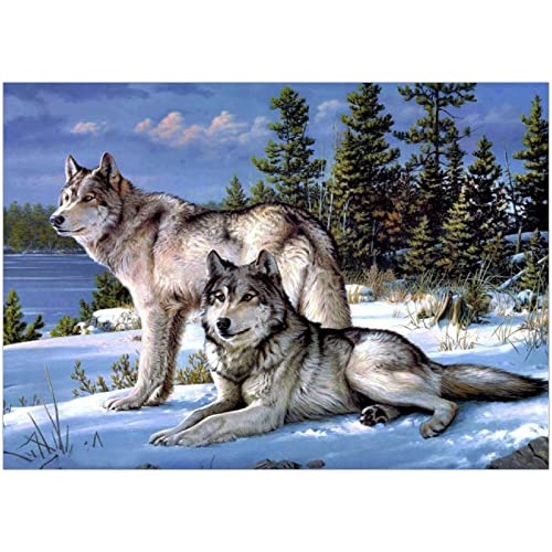 DIY 5D Diamant Malerei Set,Gemälde malen nach zahlen,5d diamant painting full Two Wölfe Stickerei Strass Kreuzstich Kunst Handwerksbedarf für Home Wall Decor 40 x 30 cm Cover