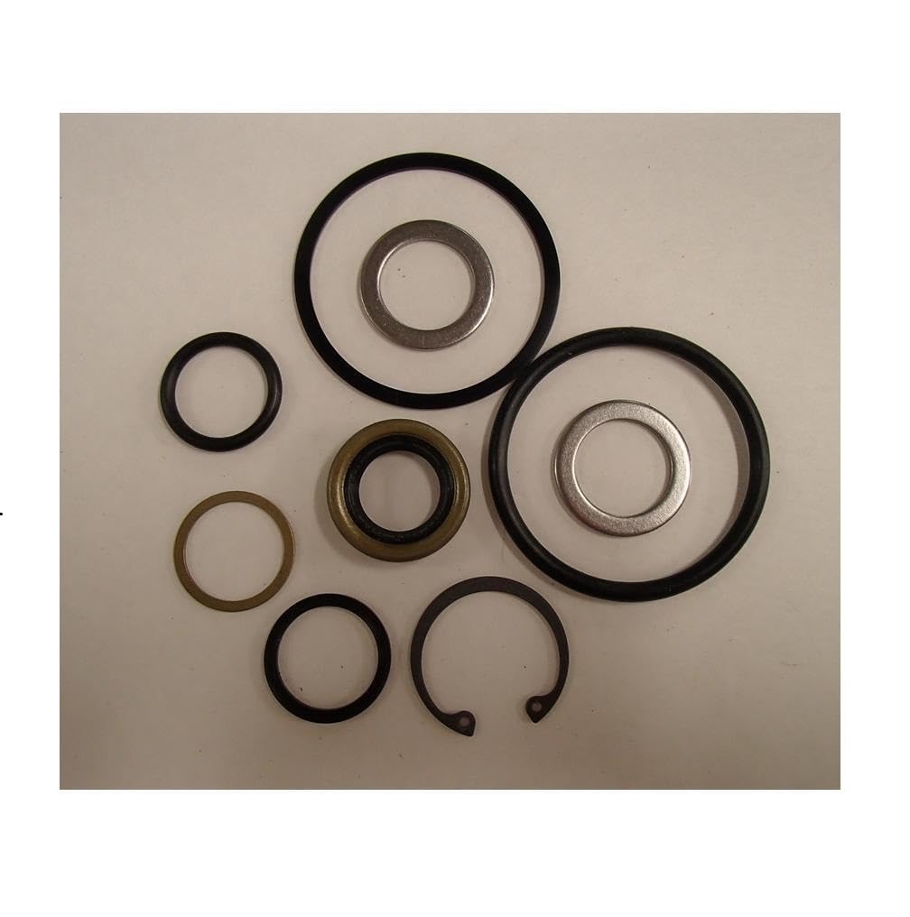 Amazon.com: CAALO ssteering Cylinder Seal Kit Fits casee 580 580B 