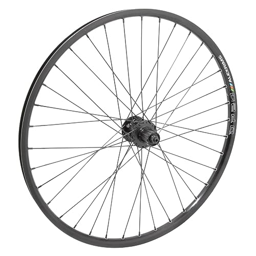 WheelMaster 26in Alloy Mountain Disc Double Wall 26in RR Alex DP20 6B