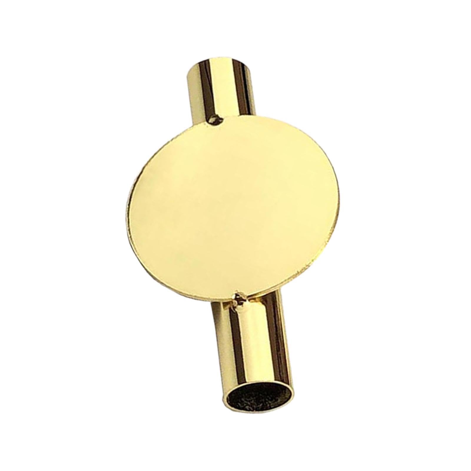 TWISAXC Classic Metal Vases Decoration Simple Wall Mounted Flower Tube For Traditional Decor Wall Mounted Vase Tube Modern, gold round