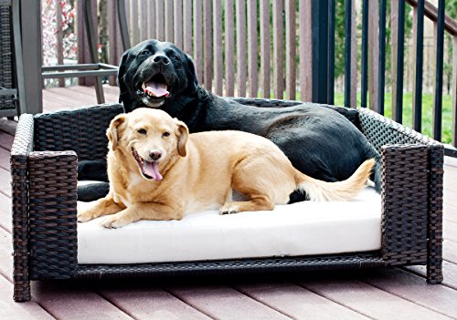 Rattan Small Rectangular Pet Bed, Indoor/Outdoor #TOP3