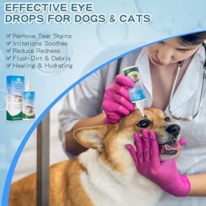 Pet-Eye-DropsGentleSafe-Dog-Eye-Drop-for-infectionRelieve-Eyes-Itching-IrritationRemove-Tear-StainsSafe-for-All-Animals-406oz120ml - Cucciolini Doodles   Pet-Eye-DropsGentleSafe-Dog-Eye-Drop-for-infectionRelieve-Eyes-Itching-IrritationRemove-Tear-StainsSafe-for-All-Animals-406oz120ml