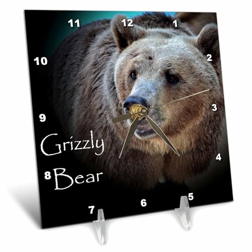 3dRose dc_53660_1 A Close-Up of a Grizzly Bear Desk Clock, 6 by 6-Inch