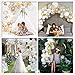 Balloon Garland Arch Kit, Balloons Garland Set Gold White Balloons Confetti Artificial Palm Wedding Shower Birthday Party Halloween Decorations DIY Decor Pack of 136