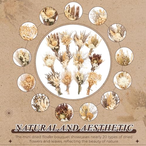 Layhit 24 Pcs Boho Dried Flower Bouquet Mini Wedding Handmade Dry Flowers Decor for Vase Crafts DIY Photo Boutonniere for Men Floral Plant Flower for Bridesmaid Gift Birthday Decor(Stylish Style)