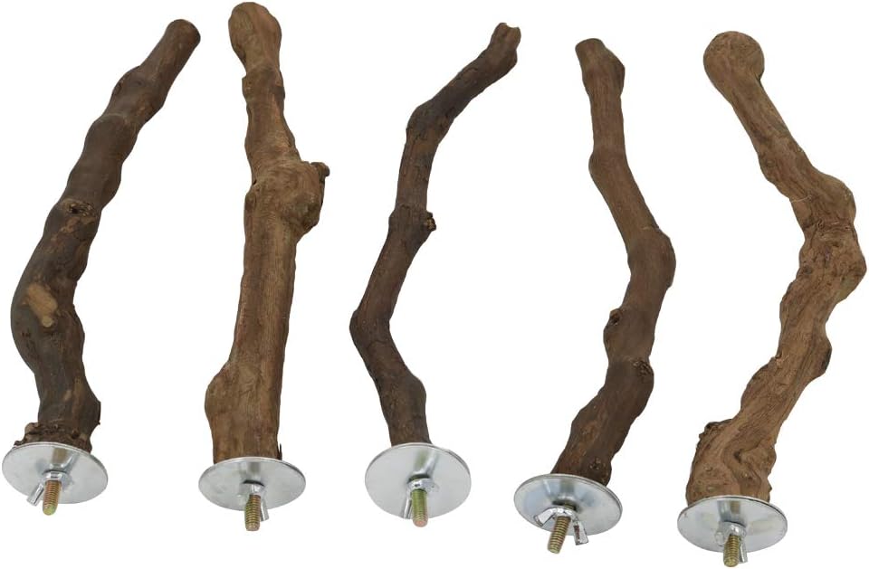 5PCS Wood Bird Stand Perch, Natural Wild Grape Stick Paw Grinding Standing Climbing Toy Cage Accessories for Small and Medium Parrots, Parakeets, Cockatiels, Lovebirds, Sun Conures, Caique