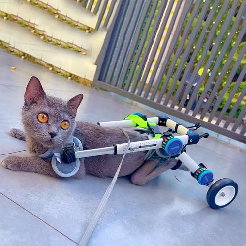 Silla de ruedas para perros con problemas de cadera: devuélvale la alegría 2