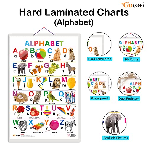 Image of GO WOO Alphabet Educational Poster for Preschool Kids Classroom Study | Learning- Chart for Kids Learning (20 inchX30 inch Inches)