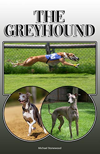 greyhound obedience training