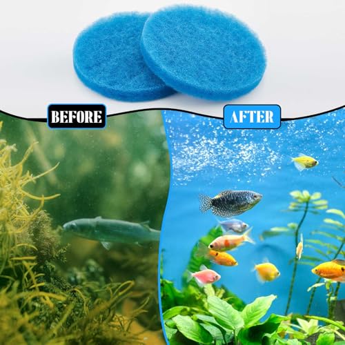 Image of Tranqun 24 Pcs Fine Filter Water Polishing Pad Compatible with Fluval Fx4, Fx5, Fx6 7 x 7 x 0.79 Inches Blue Filter Media Canister Aquarium Water Polishing Pads
