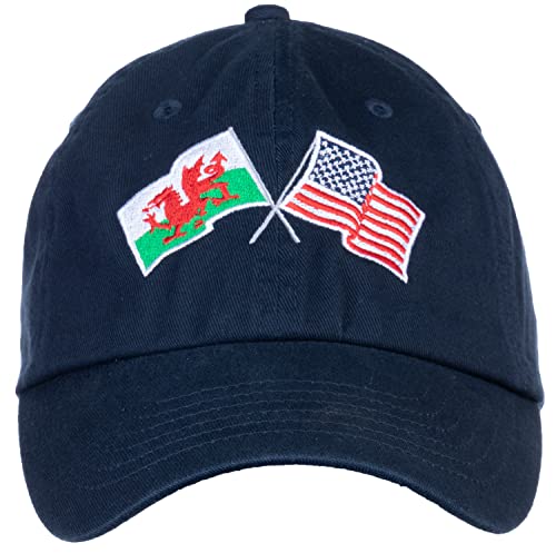 Image of Ann Arbor T-shirt Co. American Friendship Nations Flag Baseball Low Profile Dad Hat for Men Women