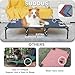 suddus Elevated Dogs Bed Waterproof Outdoor, Portable Raised Dog Bed, Dog Beds Off The Floor, Dogs Bed Easy Clean Indoor or Outdoor Use, X-Large, Blue