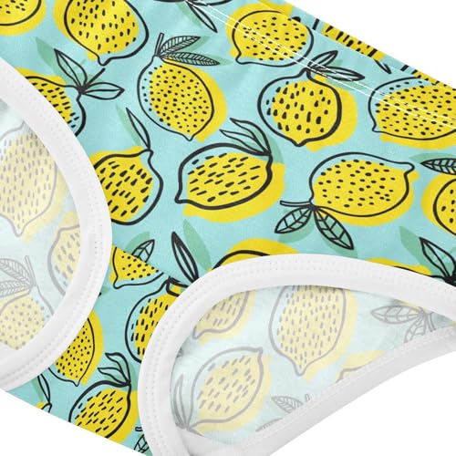 Girls' Underwear Lemon Cotton Stretch Comfort Toddler Panties4
