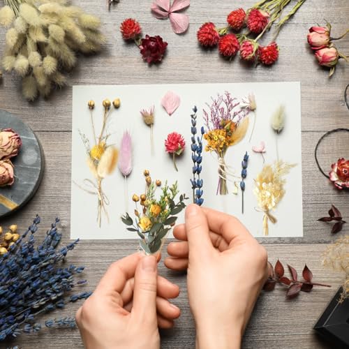 Lithyc 10Bündel Getrocknete Blumen Deko - Mini Trockenblumen Zum Basteln - Trockenblumen Kleine SträUßE - Geeignet FüR Vasen, Kunsthandwerk, Korsagen, Hochzeiten, DIY Foto Requisiten Dekoration, Etc