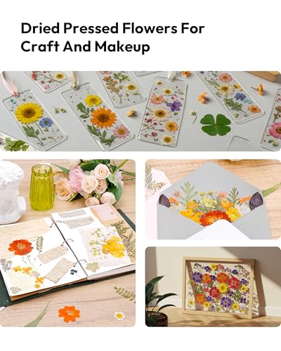 Image of Dried Pressed Flowers, Resiners Dried Flowers for Candle Making Real Natural Pressed Flowers Dry Leaves Kit for DIY Crafts Resin Soap Scrapbook Card Making Jewelry (Gerbera Daisy 100pcs)