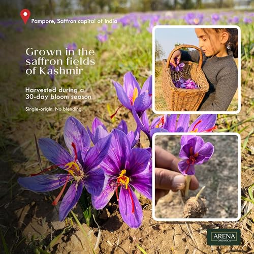 Image of Arena Organica Original Kashmiri Mongra Saffron 1g | GI Tagged | ISO 3632 Tested | Grade A+++ Kesar for Pregnant Women, Biryani, Pooja & Gifting