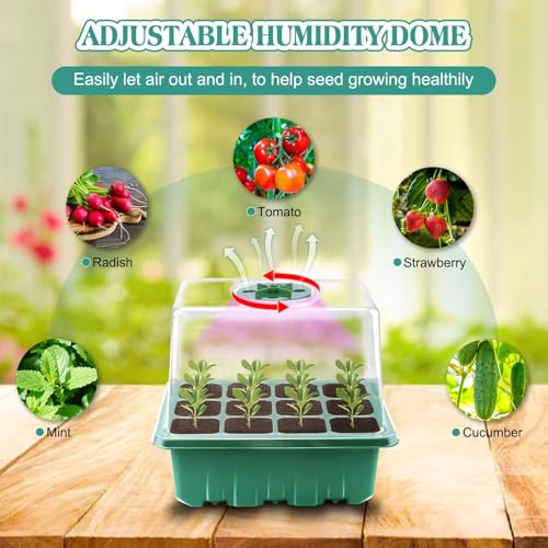 Yozexin Zimmergewächshaus Anzuchtkasten mit Pflanzenlampe, 5 Stück Mini Gewächshaus Anzucht Set, Treibhaus Anzuchtschale mit erhöhten Deckel, für Pflanzenwachstum und Saatgutkeimung