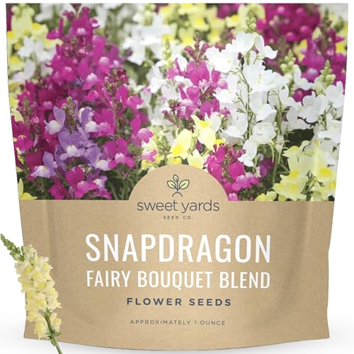 Snapdragon Fairy Bouquet Blend – Large 1 Ounce Seed Packet