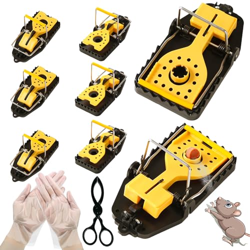 Mouse Traps - Quick and Easy Snap Traps