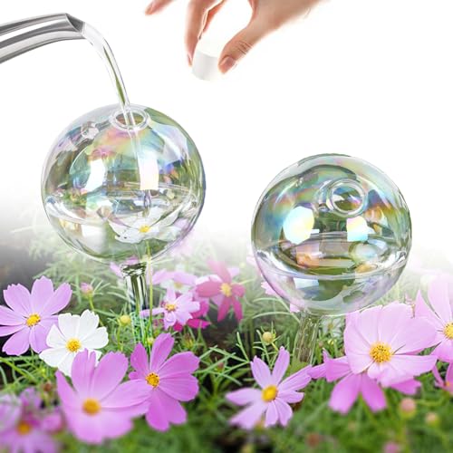 shallyong Lot de 2 Boules d'arrosage en Verre, Automatique Dispositif D'irrigation pour Plante Fleur D'intérieur et D'extérieur, Décoration D'intérieur et...