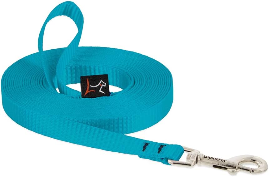 LupinePet Basics 1/2" Aqua 15Foot ExtraLong Training