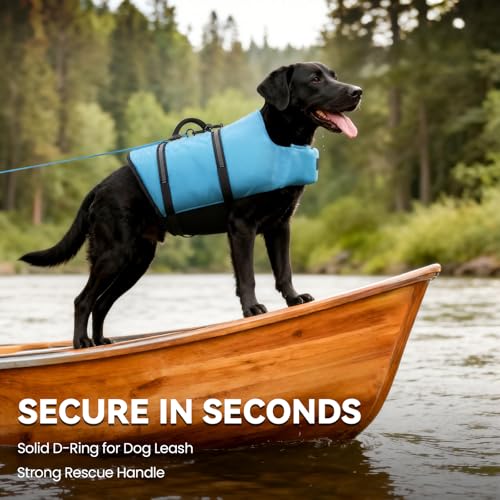VIVAGLORY Rip Stop Schwimmweste Hund, Hundeschwimmweste, Schwimmhilfe & Auftrieb, Rettungsweste Hund für Bootfahren, XS, Blau