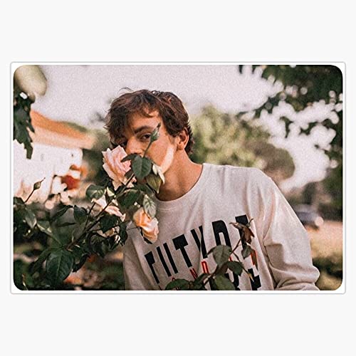 Ross Lynch Vinyl Waterproof Sticker Decal Car Laptop Wall Wi