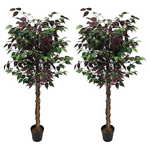 AMERIQUE 5ft Burgundy Ficus Capensia Tree Artificial Silk Plant Cover