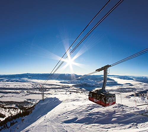 The Ultimate Ski Book: Legends, Resorts, Lifestyle & More (Photography) - Thumbnail 3