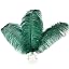 16-18 inch blackish green