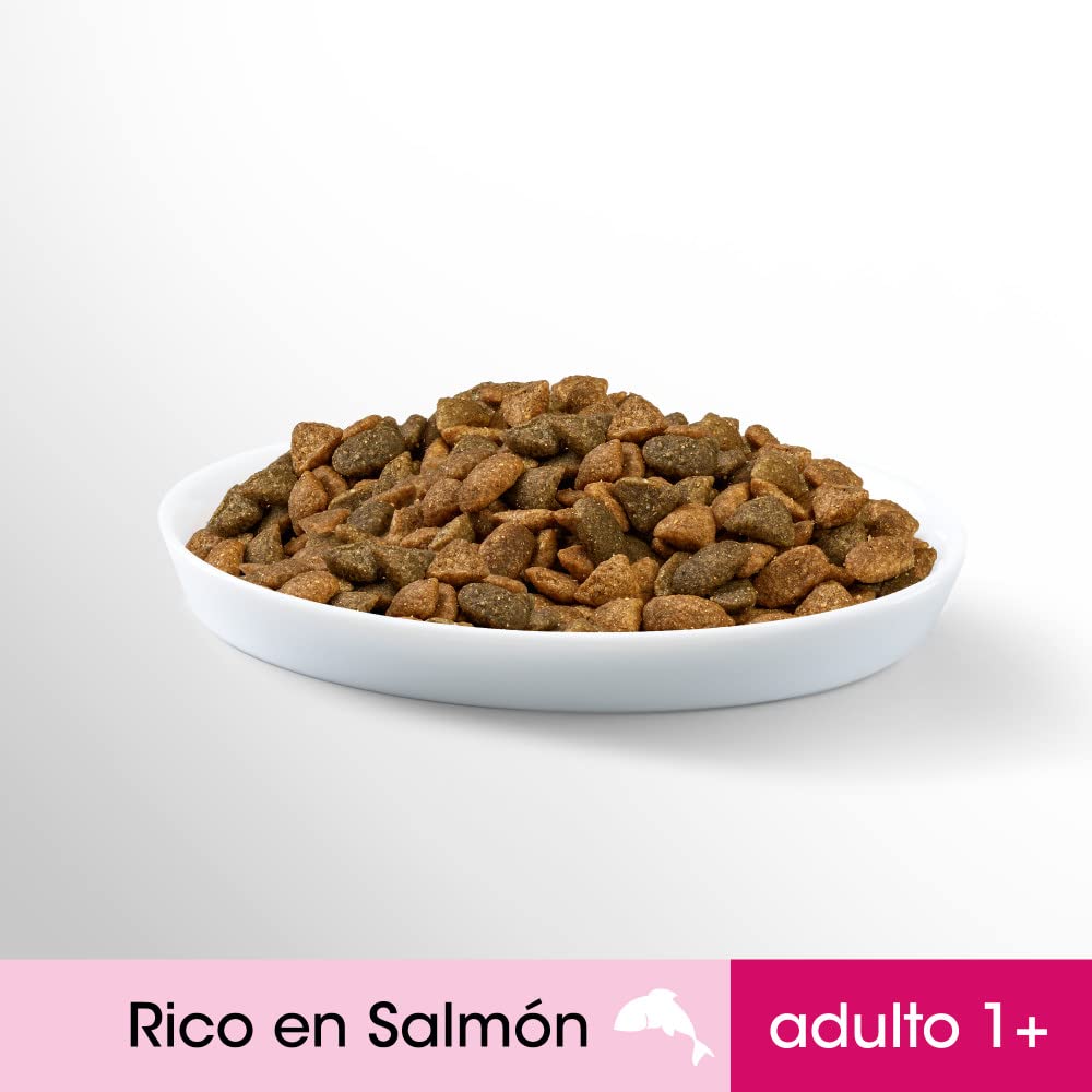 PERFECT FIT Pienso para Gatos Esterilizados Sabor Salmón (5 bolsas x 1,4kg)