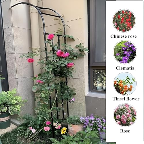 Metalowy łuk ogrodowy, krata, montowana na ścianie, pergola do pnących róż i roślin, wytrzymała, odporna na warunki atmosferyczne wsparcie, dostępna w rozmiarach od 70 do 180 cm wysokości