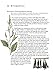 Self-Sufficiency: Foraging for Wild Foods (IMM Lifestyle Books) Learn How, Where, & When to Find Herbs, Fruits, Nuts, Mushrooms, Seaweeds, & Shellfish, Plus How to Gather, Store, & Prepare Your Finds