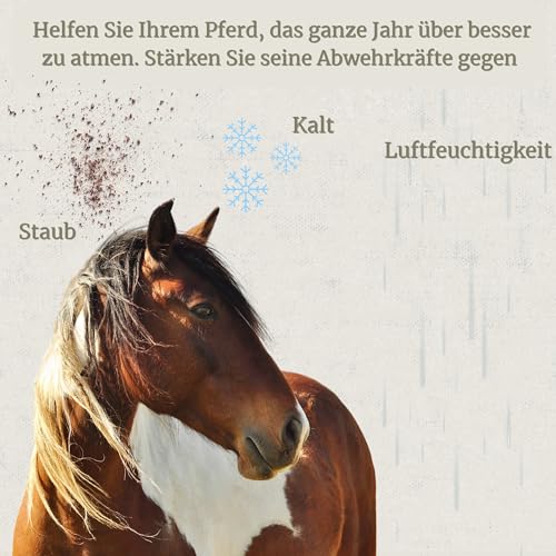 DADECARE Broncare Atemschutzmittel für Pferde, 1 l – Extrakte aus Minze, Eukalyptus, Thymian und Kräutern – Stärkung des Immunsystems und des Wohlbefindens der Lunge – ideal in Umgebungen mit Staub