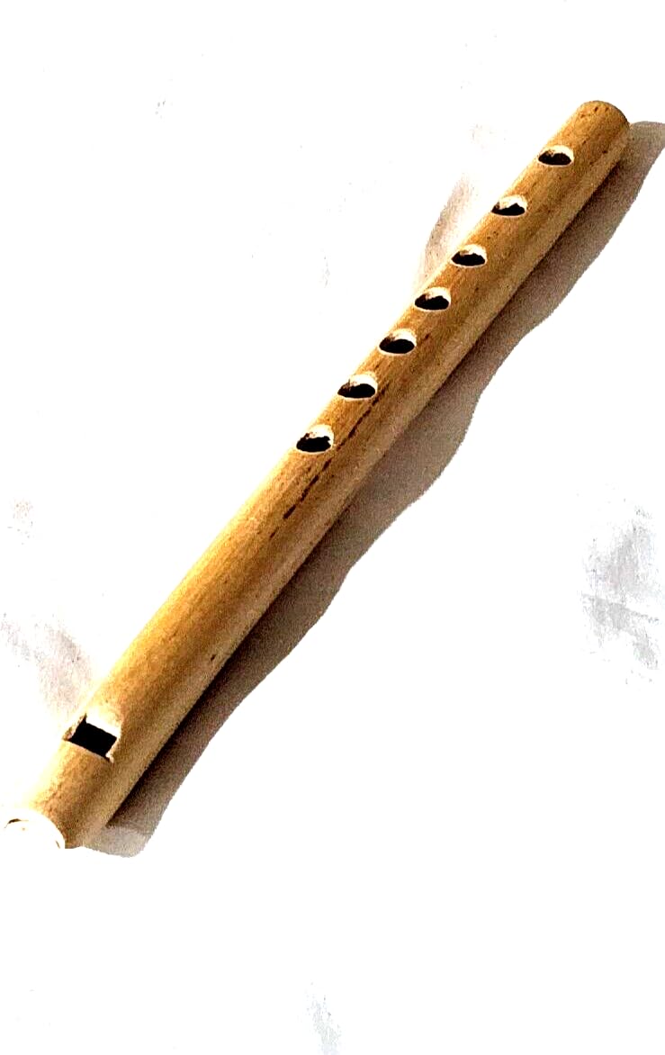 Turkish Woodwind Reed Flut Dilli Tongued (reed)