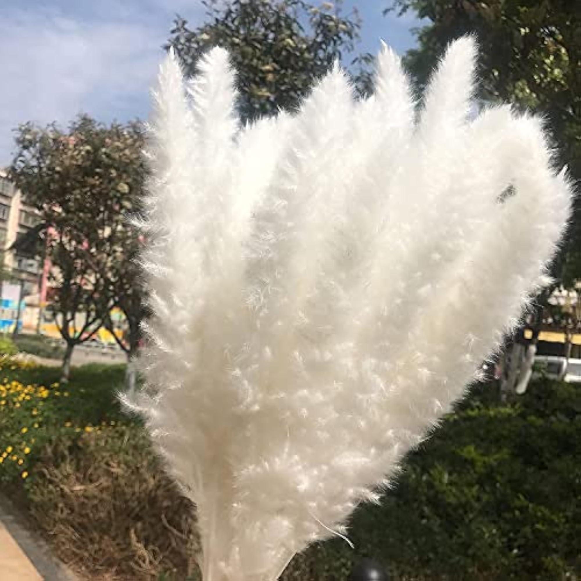 Natural Dried Pampas Grass Decor