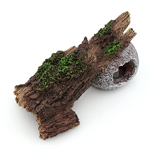 Image of AQUA KT Aquarium Landscape Skeleton Head Skull with Tree Branch for Betta Cichlid Fish Hiding Rock Aquatic Decoration