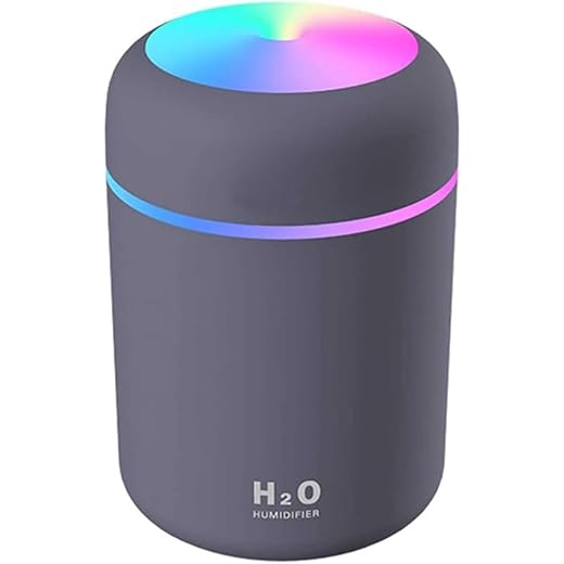 MANSAA H2O Humidifier, 300ml Capacity, Dual Spray Modes with LED Lights, Auto-Shutdown Timer, Grey