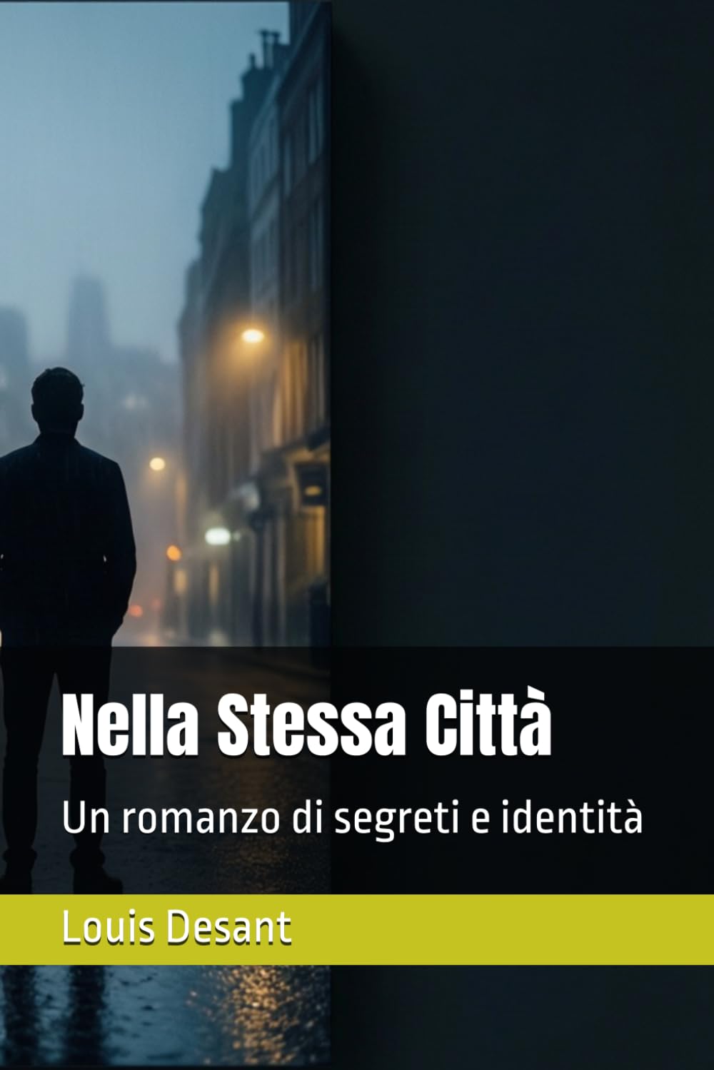 Nella Stessa Città: Un romanzo di segreti e identità