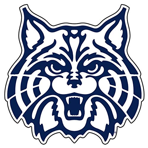 Arizona Wildcats Magnet (WILDCAT MAGNET (3
