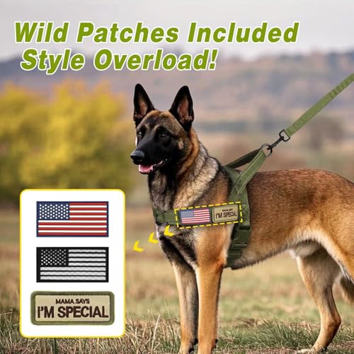 Forestpaw No Pull Dog Harness with Large Handle,Comfortable,L,Green | Adjustable Fits Chest 26-31",50-80 lbs,Slip On,Quick Release,Easy Control,Soft Padded,for Medium Large Dogs Walking Training - Image 6