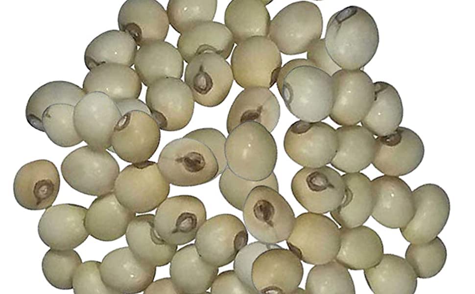 saleshop365 Natural 100% & Rare White Gunja, Chirmi Seeds, Swetha Gunja, Gurivanta, White Rosary Pea, Chanoti, Latumoni (B0C6F1953J) Amazon Price History, Amazon Price Tracker