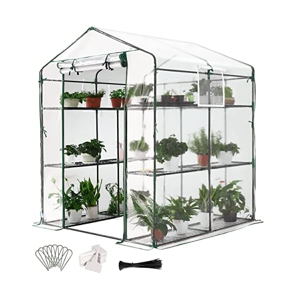 Quictent 4.7 x 4.7 x 6.4 FT Walk-in Greenhouse, Mesh Door & Windows, 3 Tiers 12 Shelves, Mini Portable Indoor Outdoor Garden Plant Green House, Clear