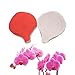 AK ART KITCHENWARE Gum Paste Orchid Decoration Tool Stainless Steel Cookie Cutter Set Silicone Veining Mold Sugarpaste Making Tool A312&VM004